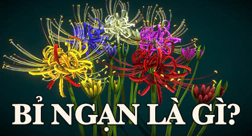 Bỉ Ngạn là gì? Nguồn gốc và ý nghĩa của loài hoa này